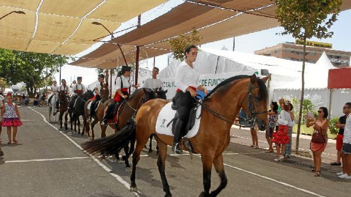 Algunos de los caballos que se han acercado hoy al Recinto Ferial.