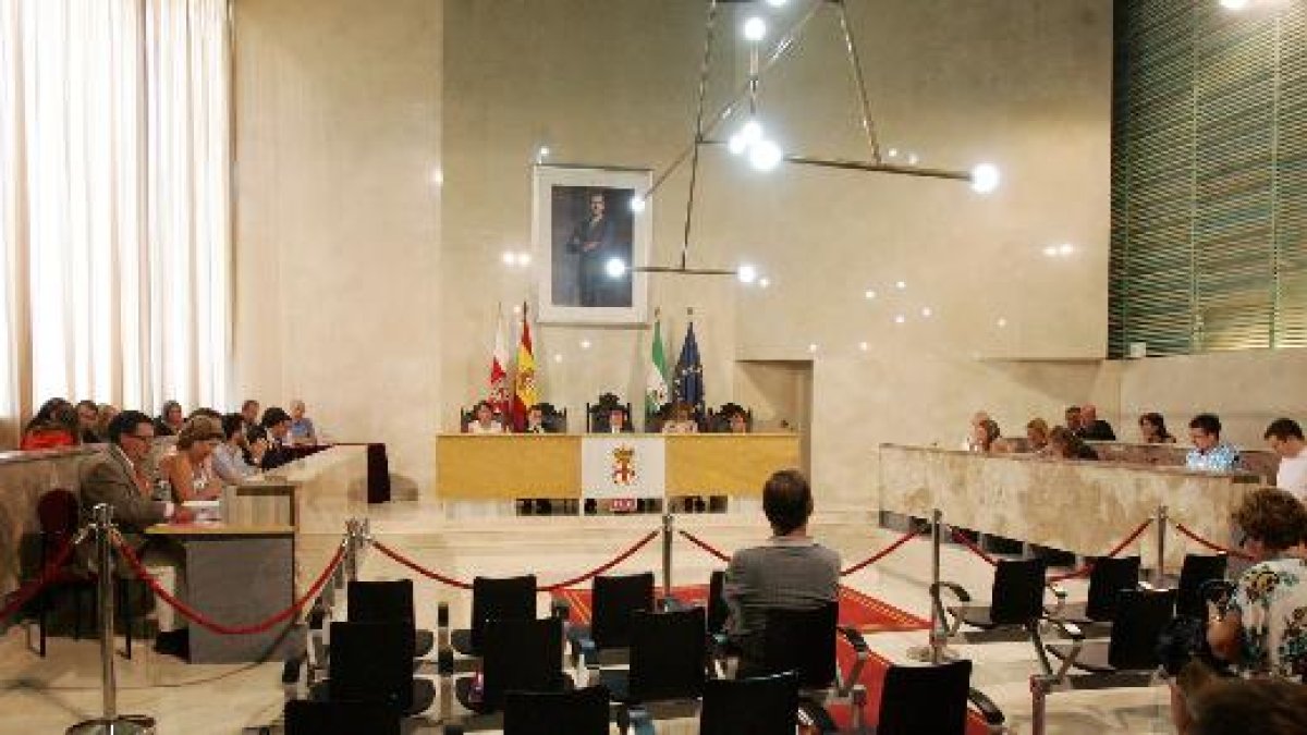 Momento en el pleno municipal celebrado ayer en Almería.