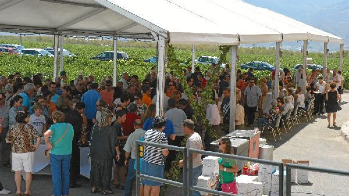 Los visitantes disfrutaron del entorno de los viñedos de esta bodega
