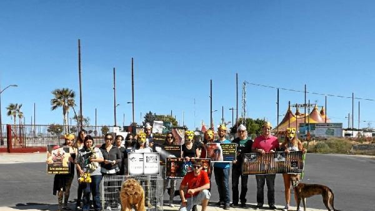 Consideran intolerable el trato que reciben cientos de animales.