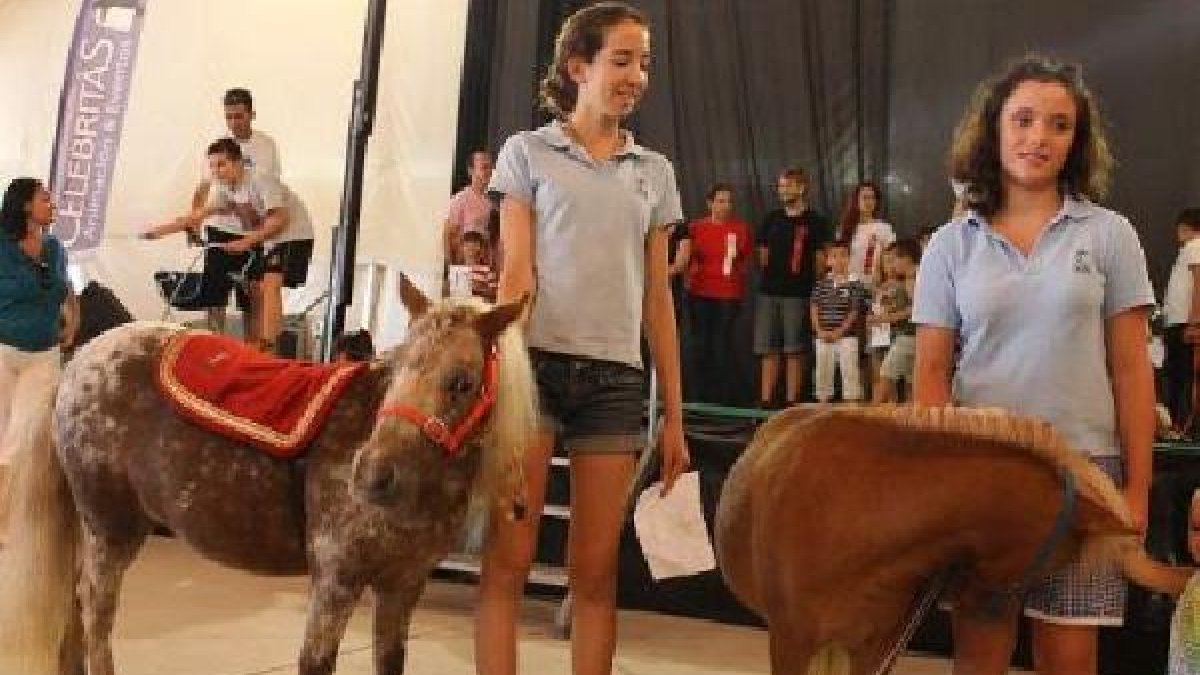 El Concurso de Mascotas én la Feria de Almería