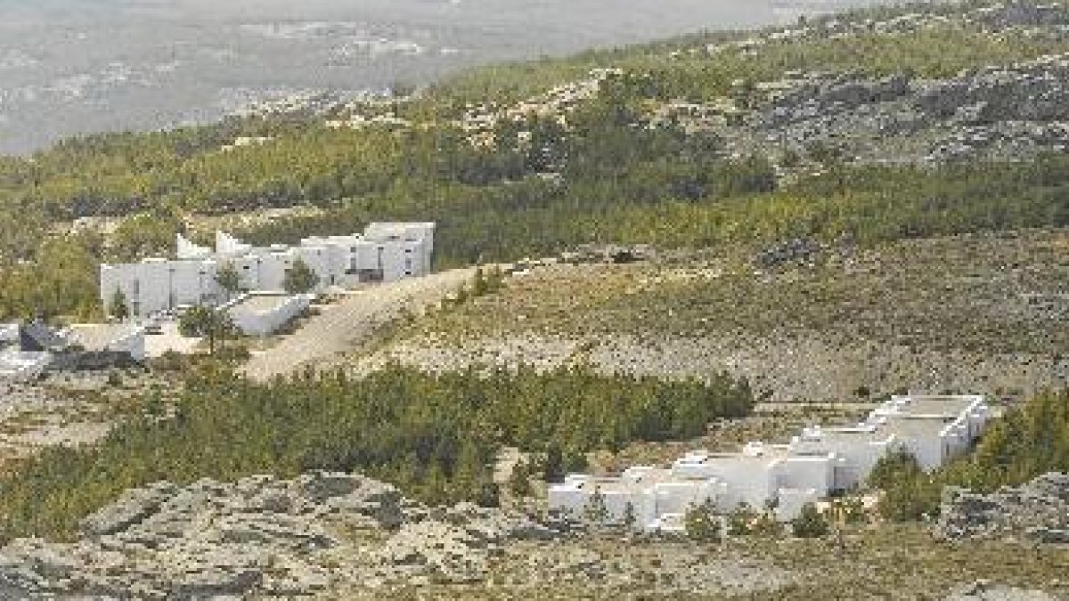 El animal espera tumbado la llegada del almuerzo.