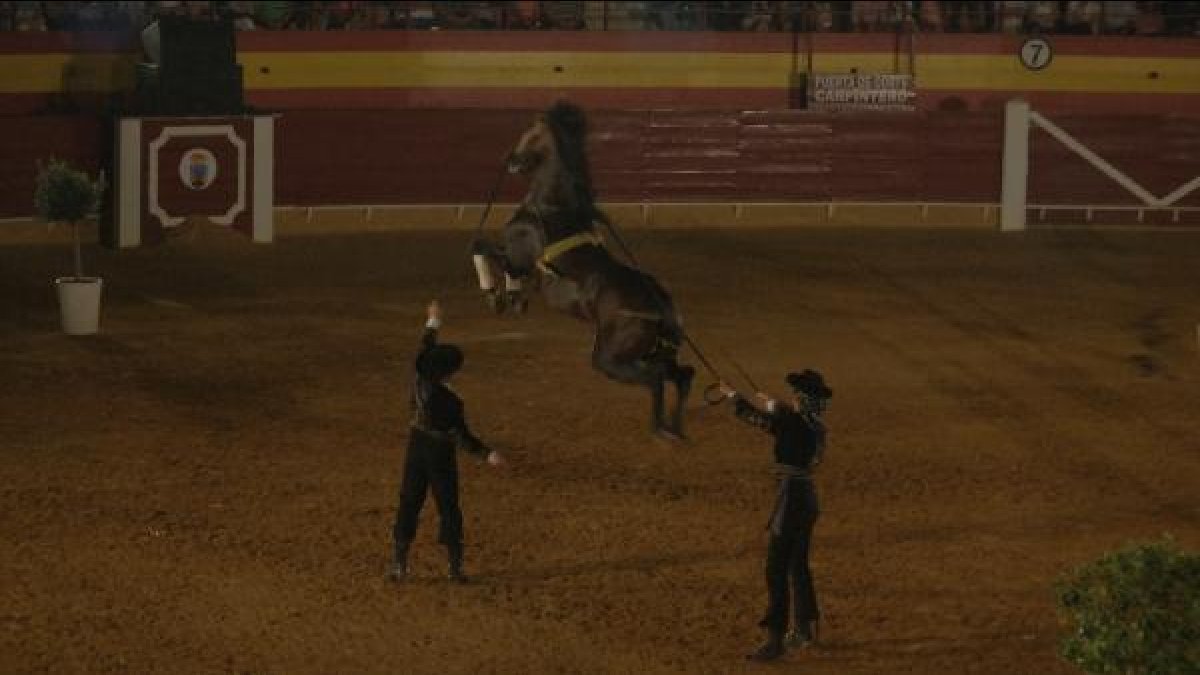 La Plaza de Toros acogió a dos mil personas.x,a