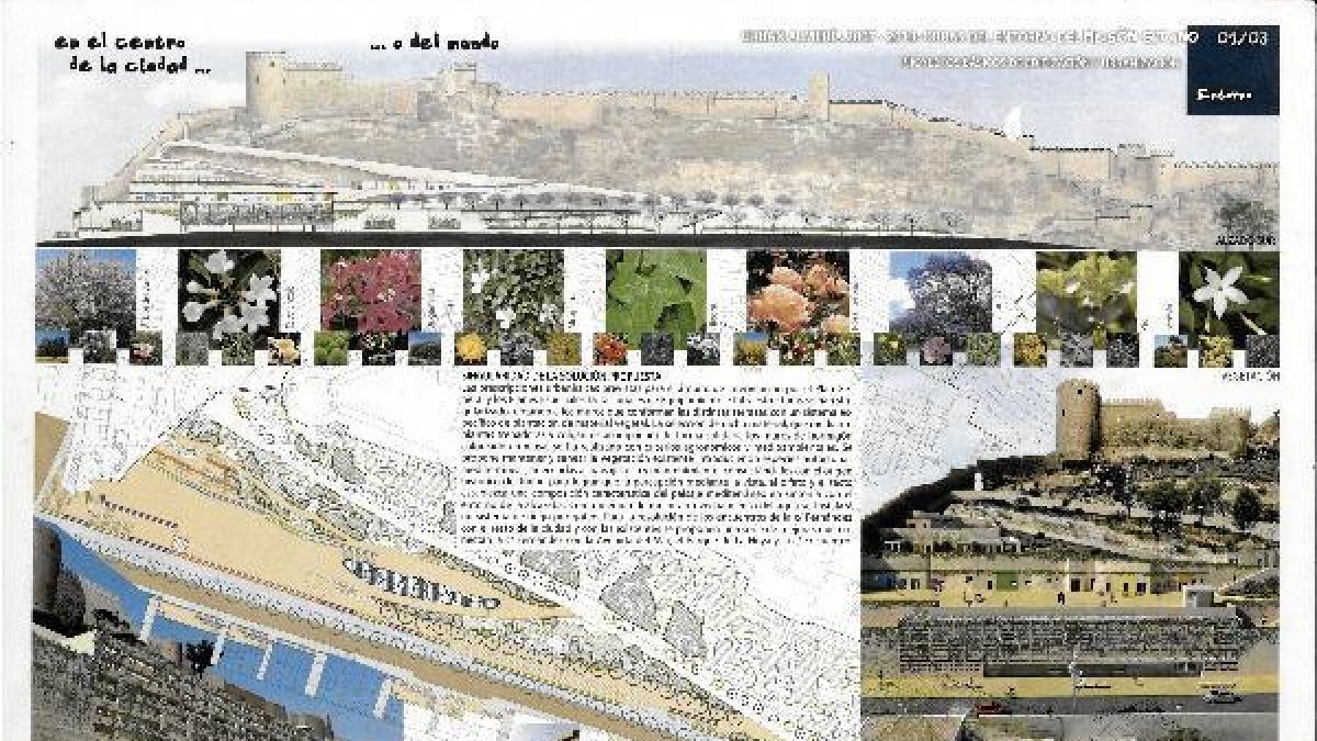 Parte del proyecto<