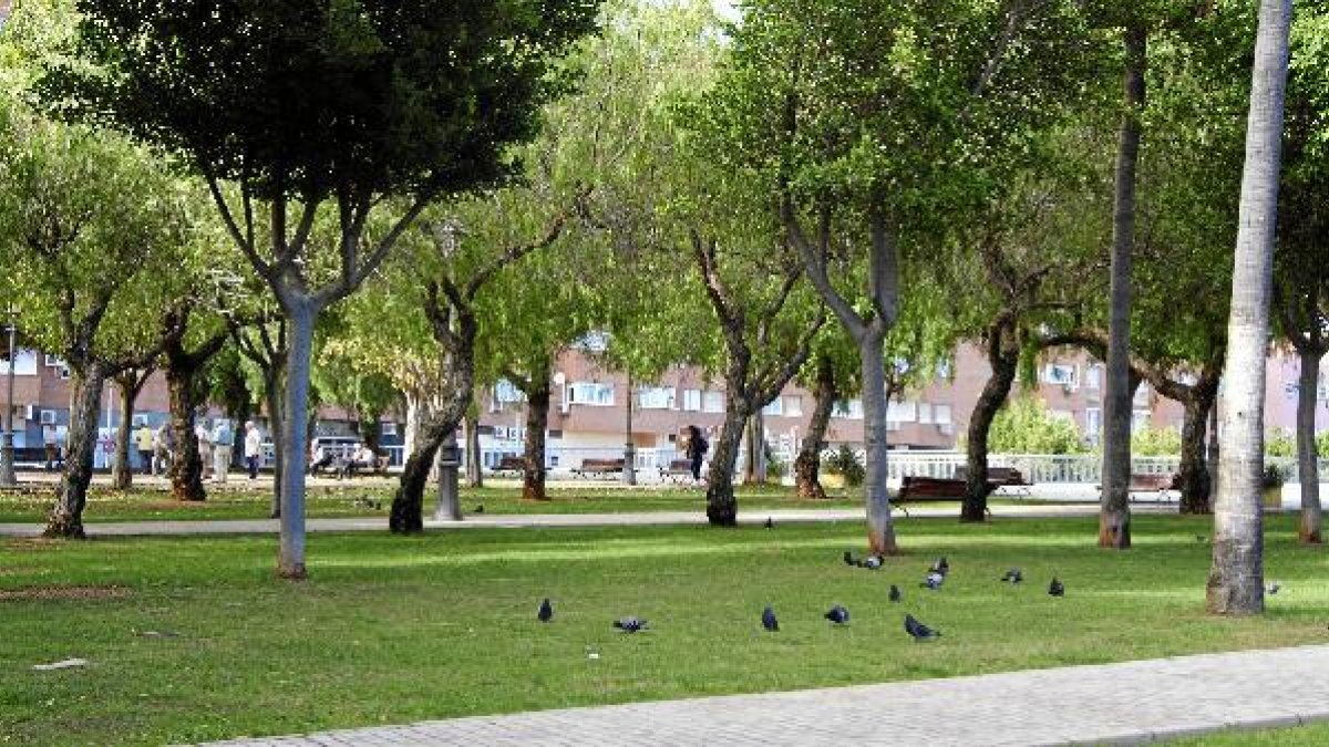 Lugar de la agresión, junto a la Avenida del Mediterráneoe;clip
