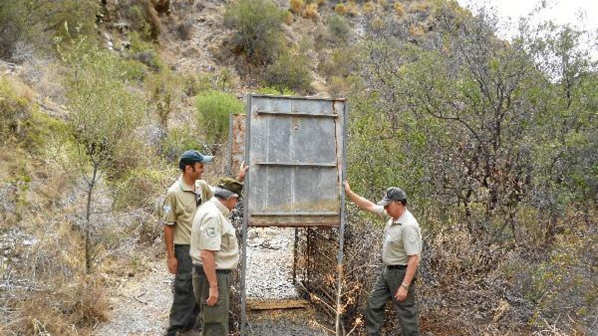 Jaula de grandes dimensiones localizada por los agentes de Medio Ambiente.tyle>.apqj{posit