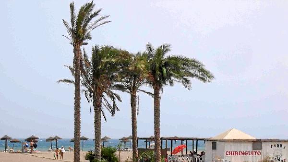 Vera cuenta con un plan especial de accesibilidad a las playas del municipio. tyle>.apqj{p