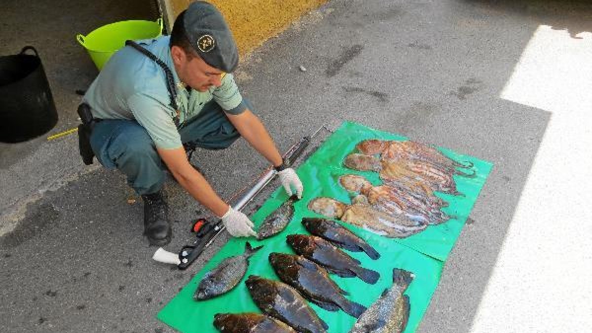 Un agente con el fusil y los ejemplares capturados. e;clip:rect