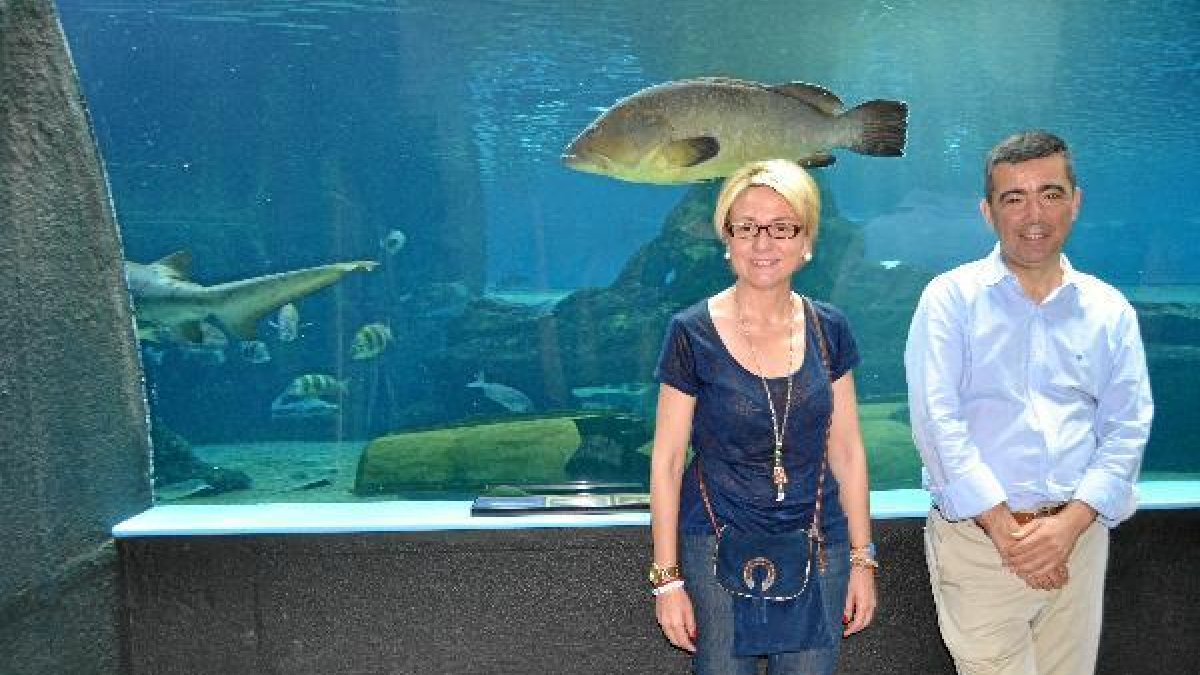 Un mero pasa por detrás de Cabrera y Fernández.