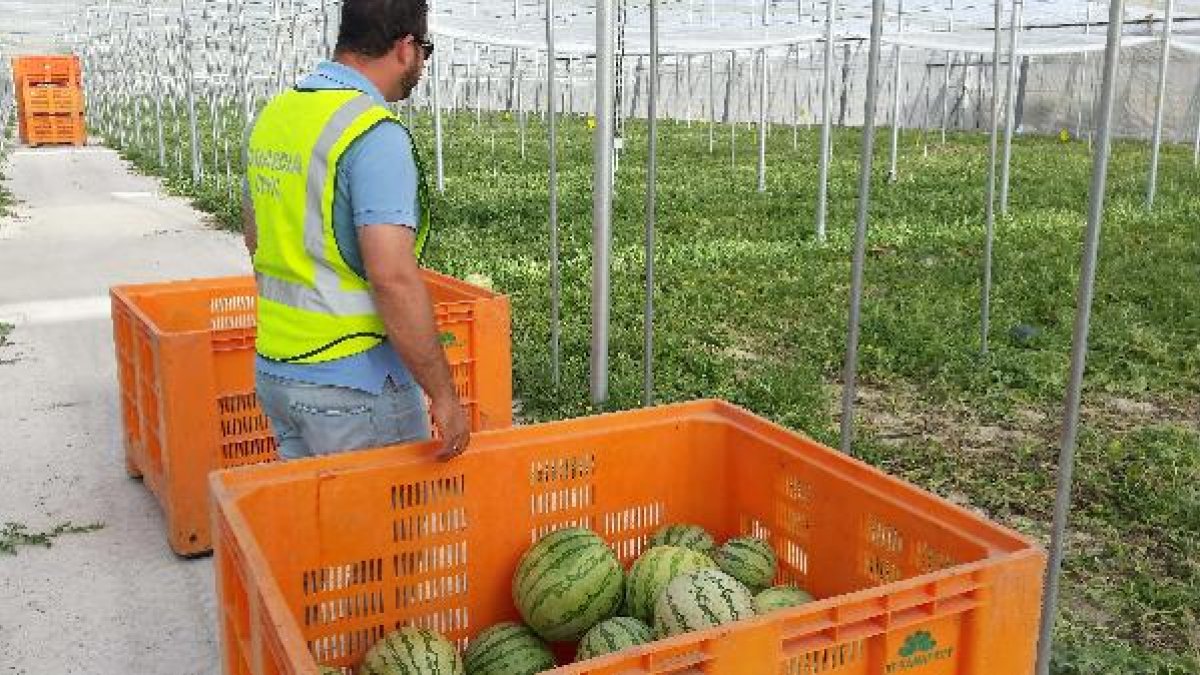 Una de las últimas actuaciones del ROCA de Roquetas.e;clip:rect