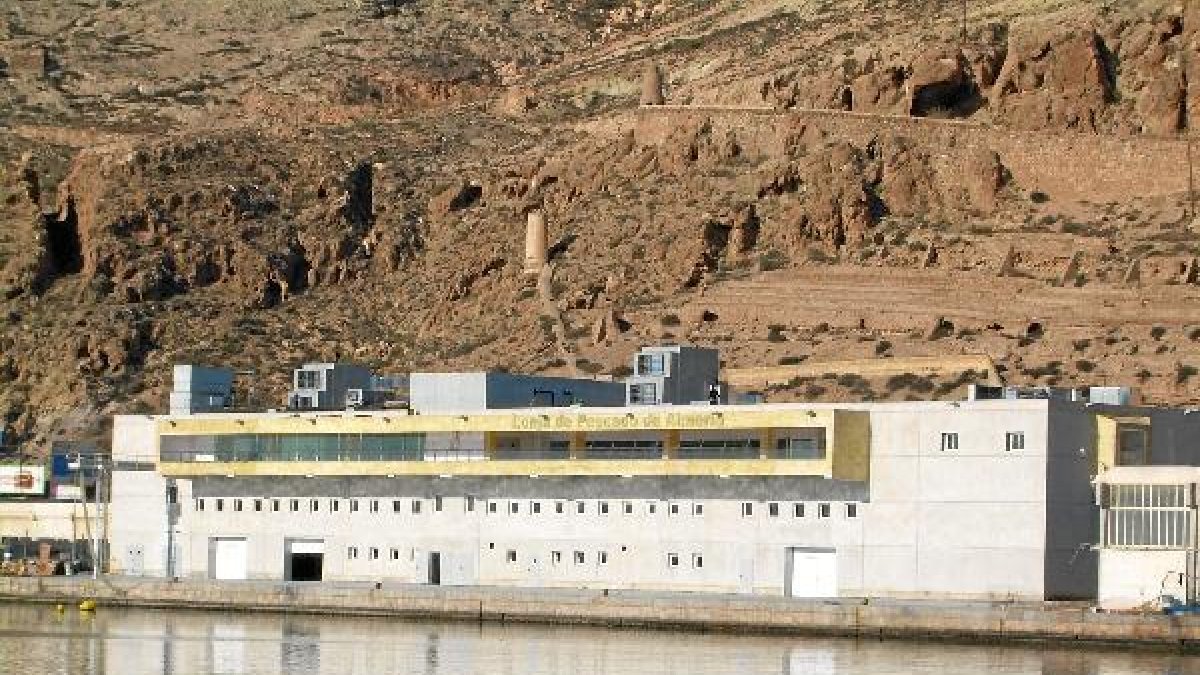 El centro estará en la lonja de pescado.x,auto,