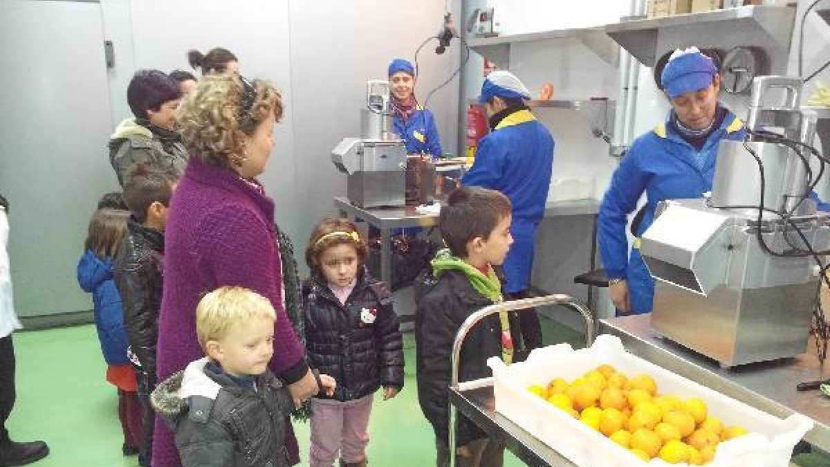 Fábrica de la cooperativa Albentillas en Bentariquee;clip:rect(