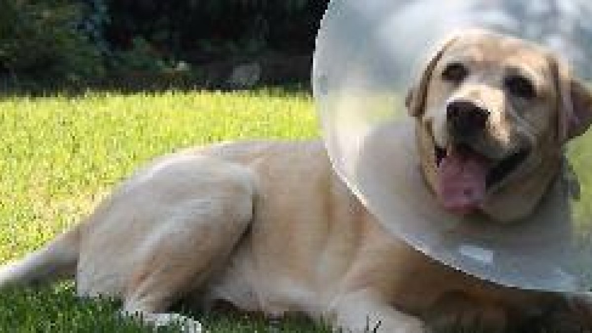 Dispne de servicios de urgencias 24 horasx,auto