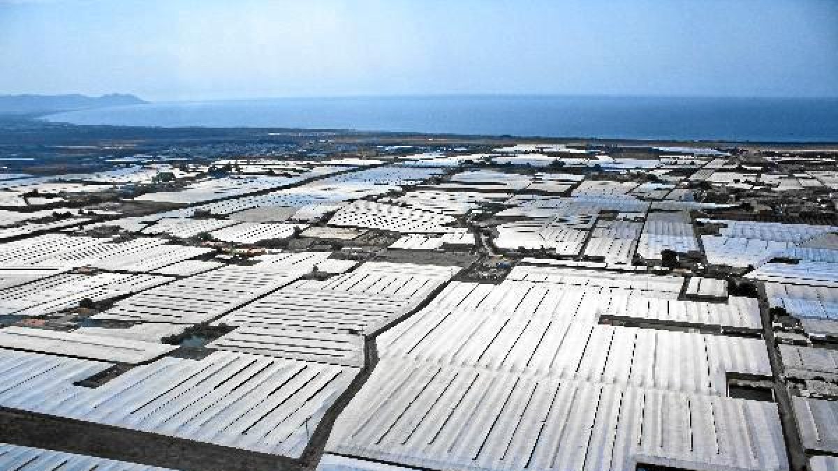 Invernaderos del ponienteo,469px);}</