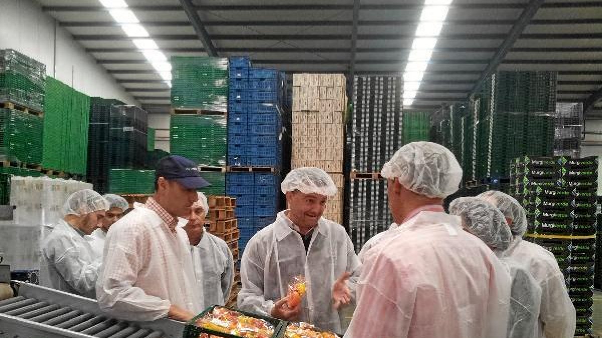 Maíllo, en Murgiverdeo,469px);}