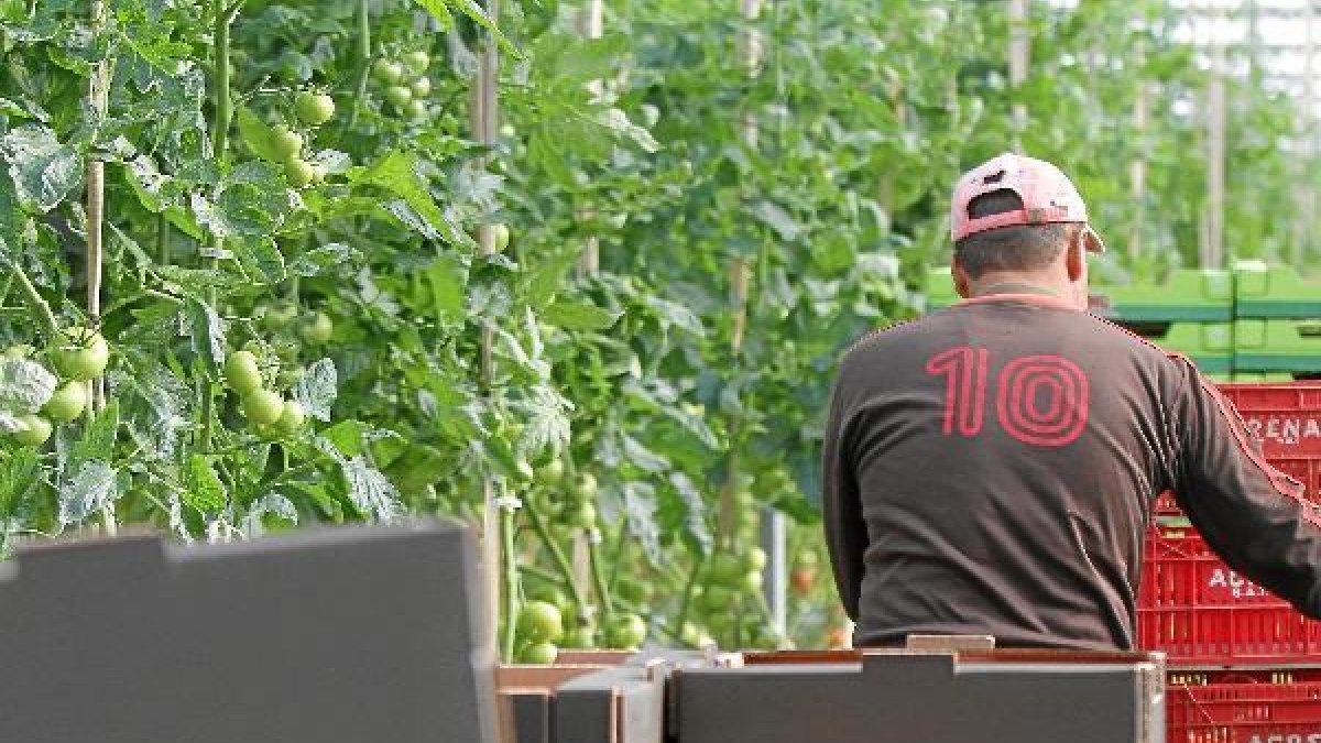 Los trabajadores agrícolas son los que más buscan otro empleo.e