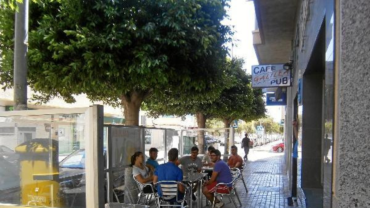 Arboles de El Ejido