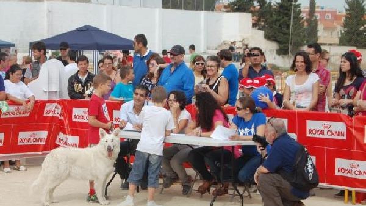 Los más pequeños aprovechan estos concursos para lucir a sus mascotastyle>.apqj{position:a