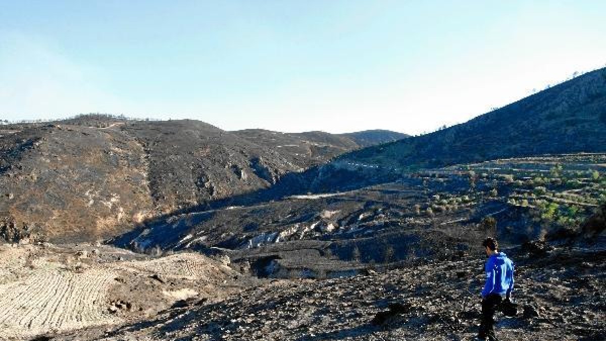 Varios términos municipales se vieron afectados por el incendio de la Sierra de Gádor.tyle
