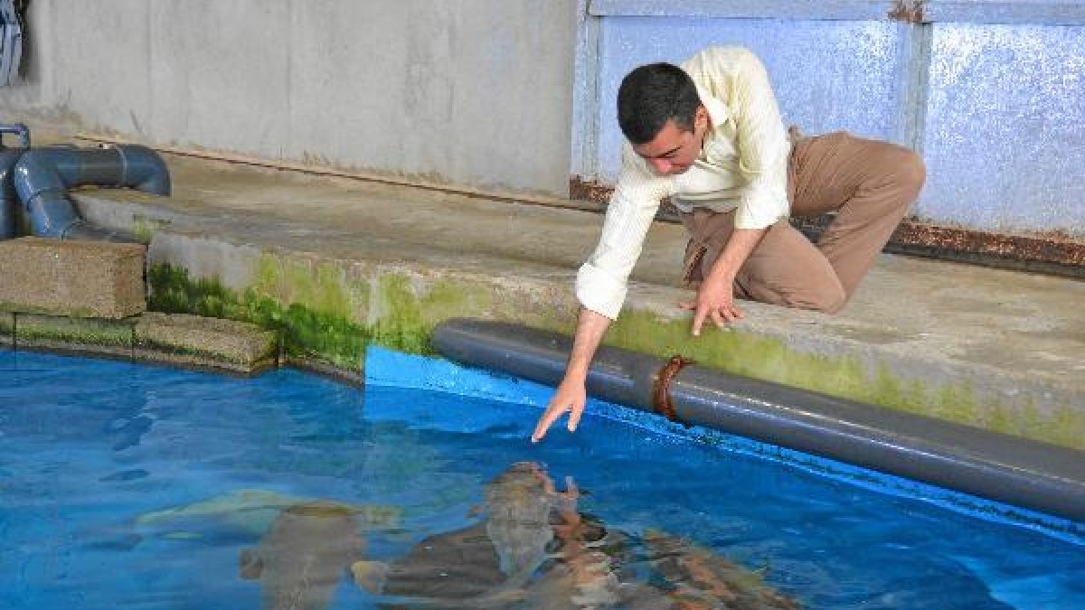 Los meros son mimados en las instalaciones roqueterase;clip:rec