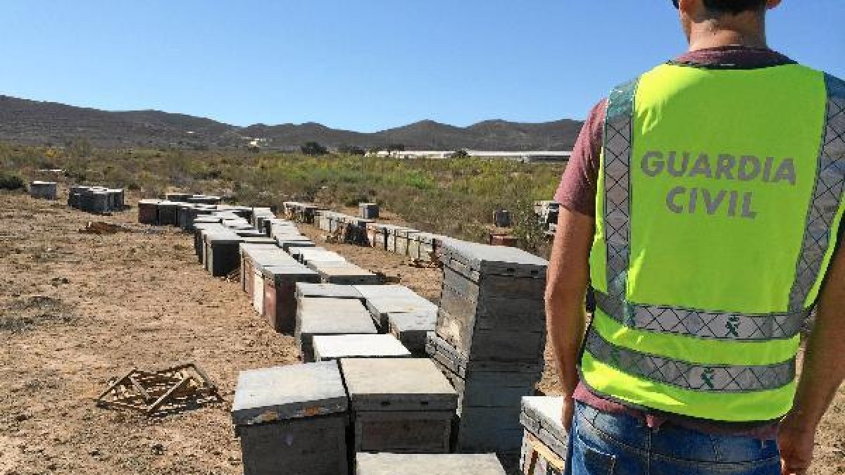 Imagen de las colmenas, algunas de ellas devueltas. e;clip:rect