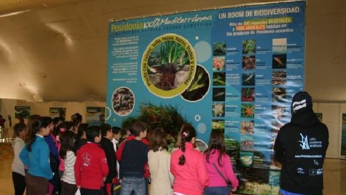 Grupo de escolares visitan la Exposición LIFE Posidoniae;clip:r