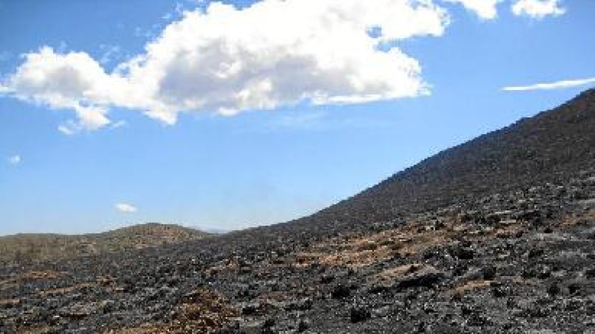 Paraje de Lucainena en el que se originó el fuego el pasado domingo.tyle>.apqj{position:ab