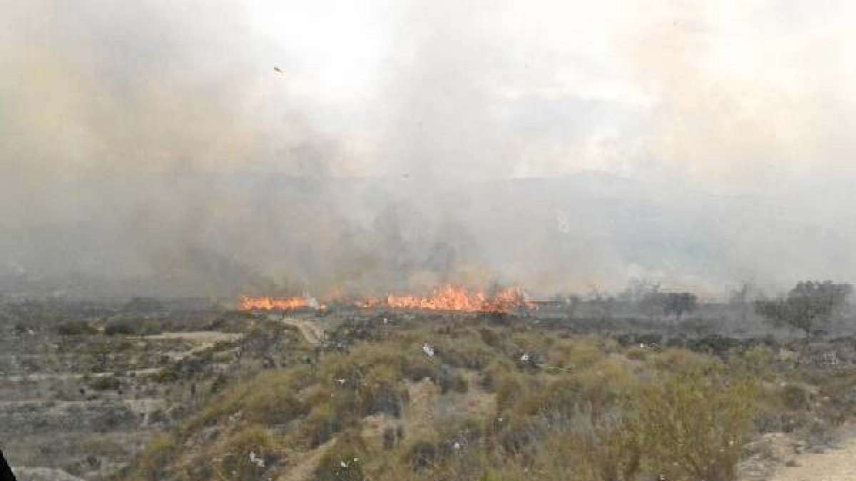 Imagen del área afectada por el incendio.x,auto