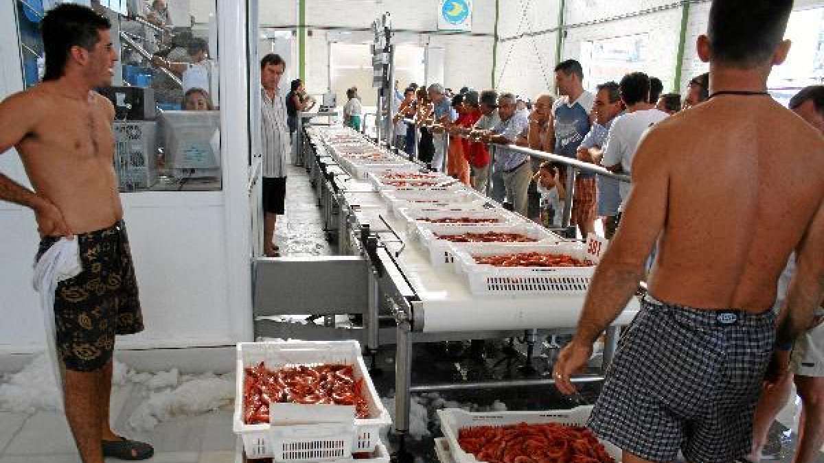 Imagen de la lonja de Garrucha.o,469p