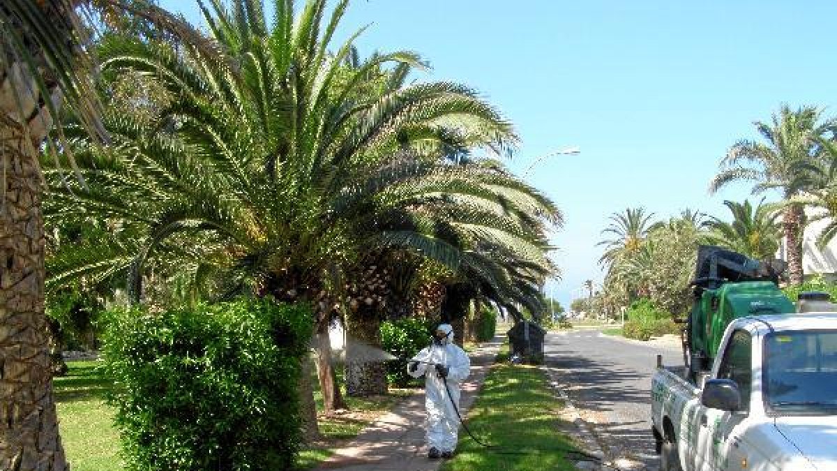 Con las altas  temperaturas se incrementa el control.e;clip:rec