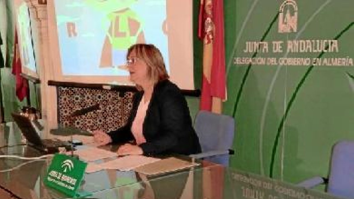 Presentación de la iniciativa por parte de la coordinadora del IAM en la Delegación de la Junta.