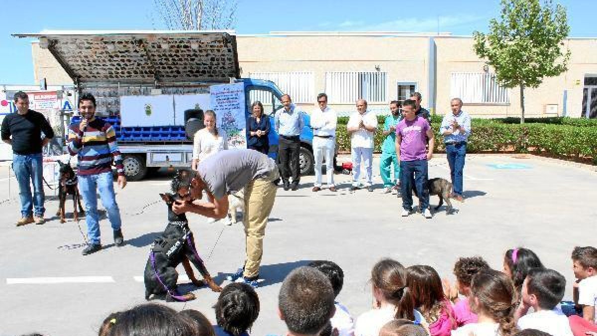 Exhibición celebrada en el colegio Laimún. x,au