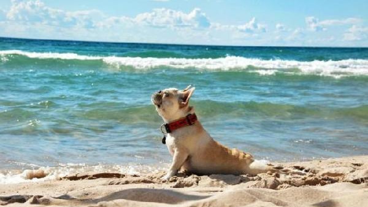 El espacio pensado para este equipamiento está ubicado en la zona próxima al delta del Andarax