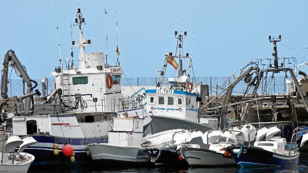 Barcos amarrados en el puerto pesquero de Almeríae;clip:rect(46