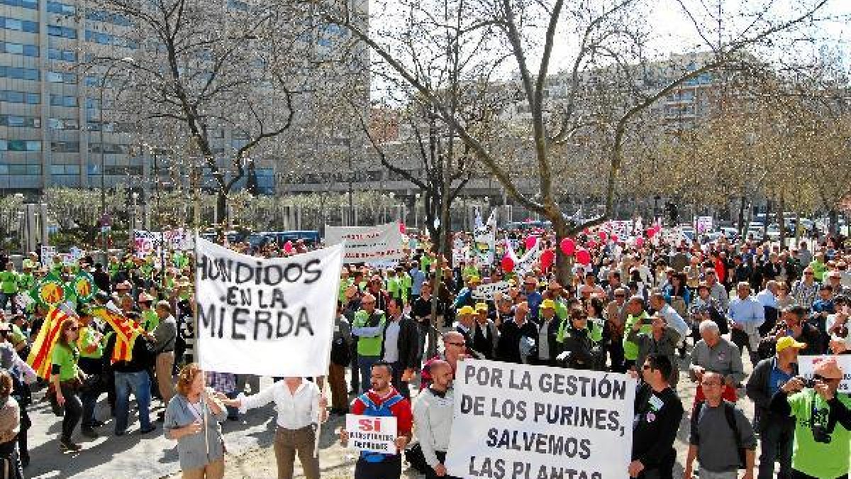 Manifestación de ganaderos en Madrido