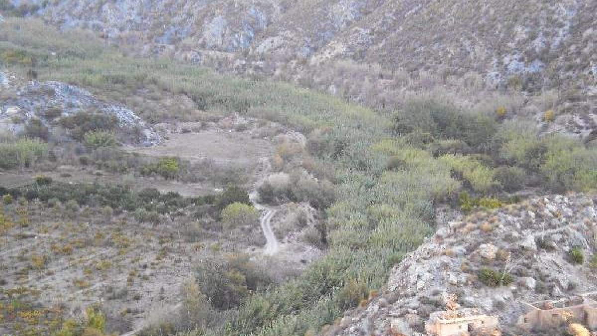 Cauce del río Ara <