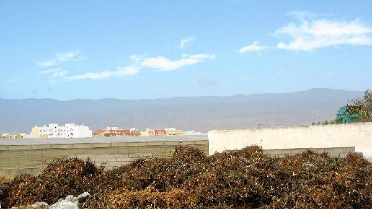 Restos vegetales junto a un invernadero en El Ejido.e;clip:rect