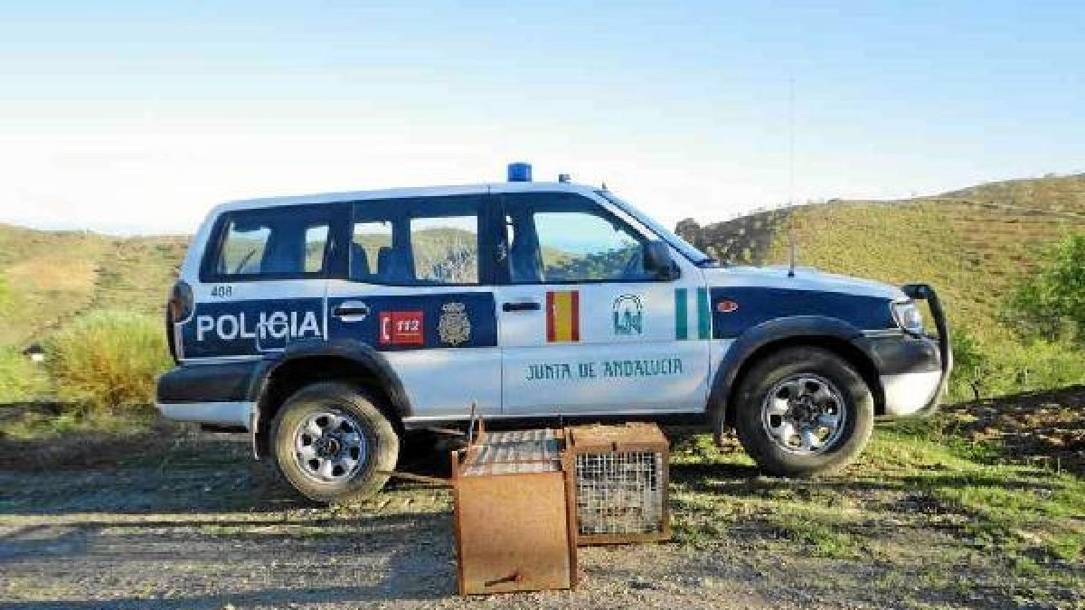 Jaulas intervenidas por la policía.o,