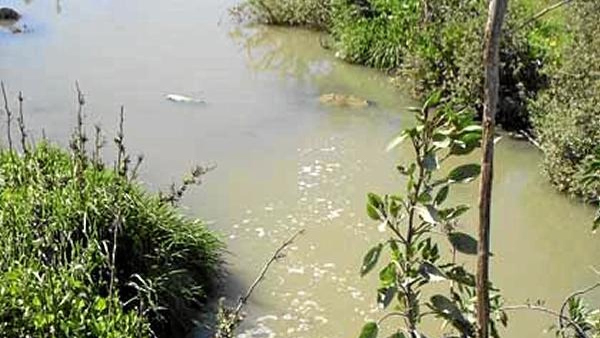 Agua sucia de la depuradora por la rambla. x,au