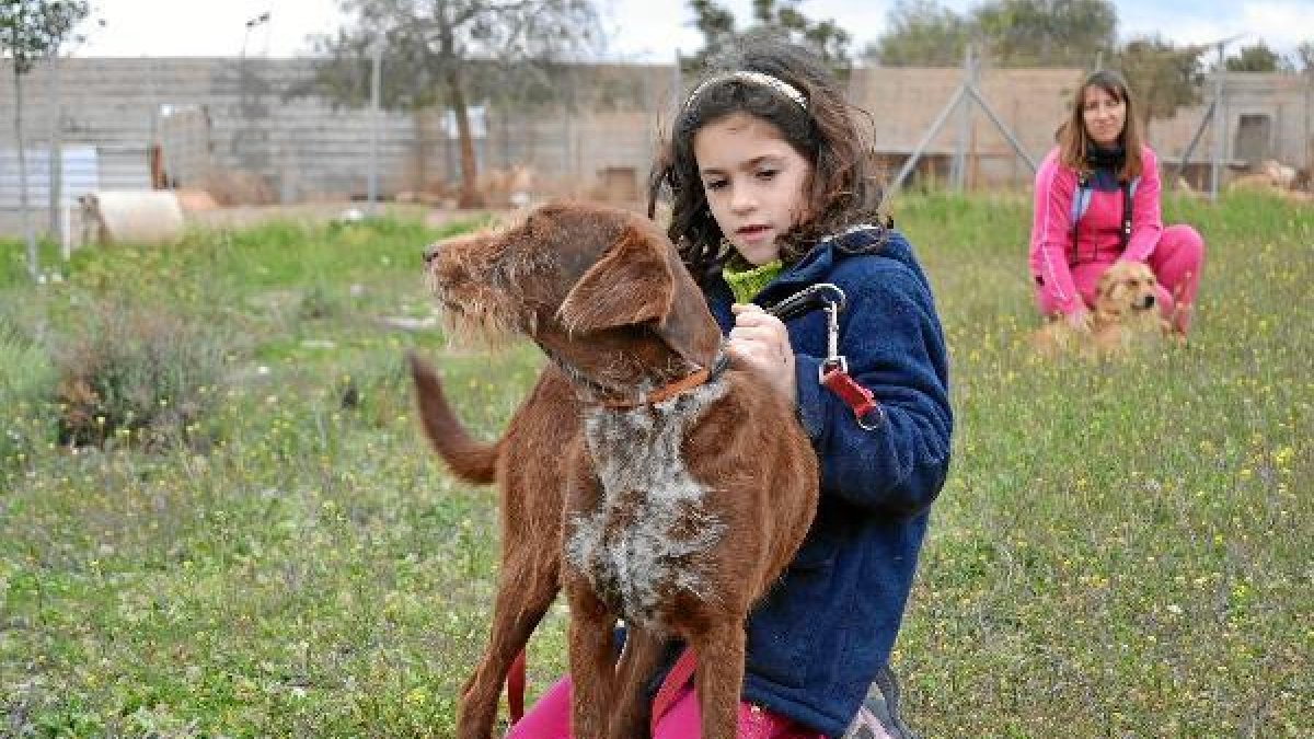Mayores y pequeños pasean a los animales con la ayuda de los voluntarios.tyle>.apqj{positi