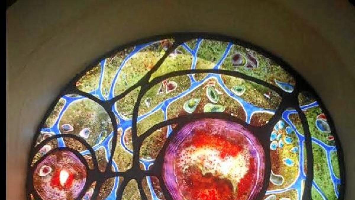 El útero con su sangre, su líquido y el niño Dios.e;clip:rect(