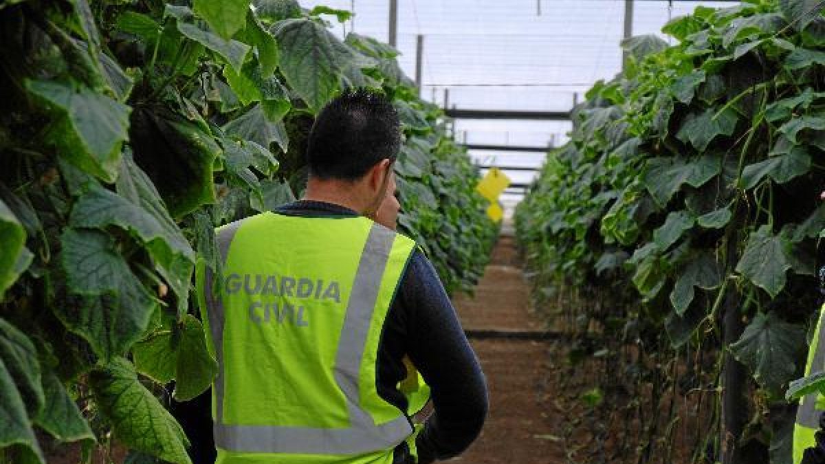 Foto de archivo del Equipo Roca.o,469
