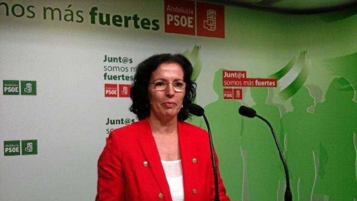 Gracia Fernández, diputada socialista