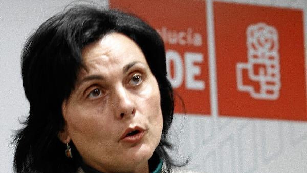 La portavoz del PSOE en el Ayuntamiento, Ana Cano.e;clip:rect(4