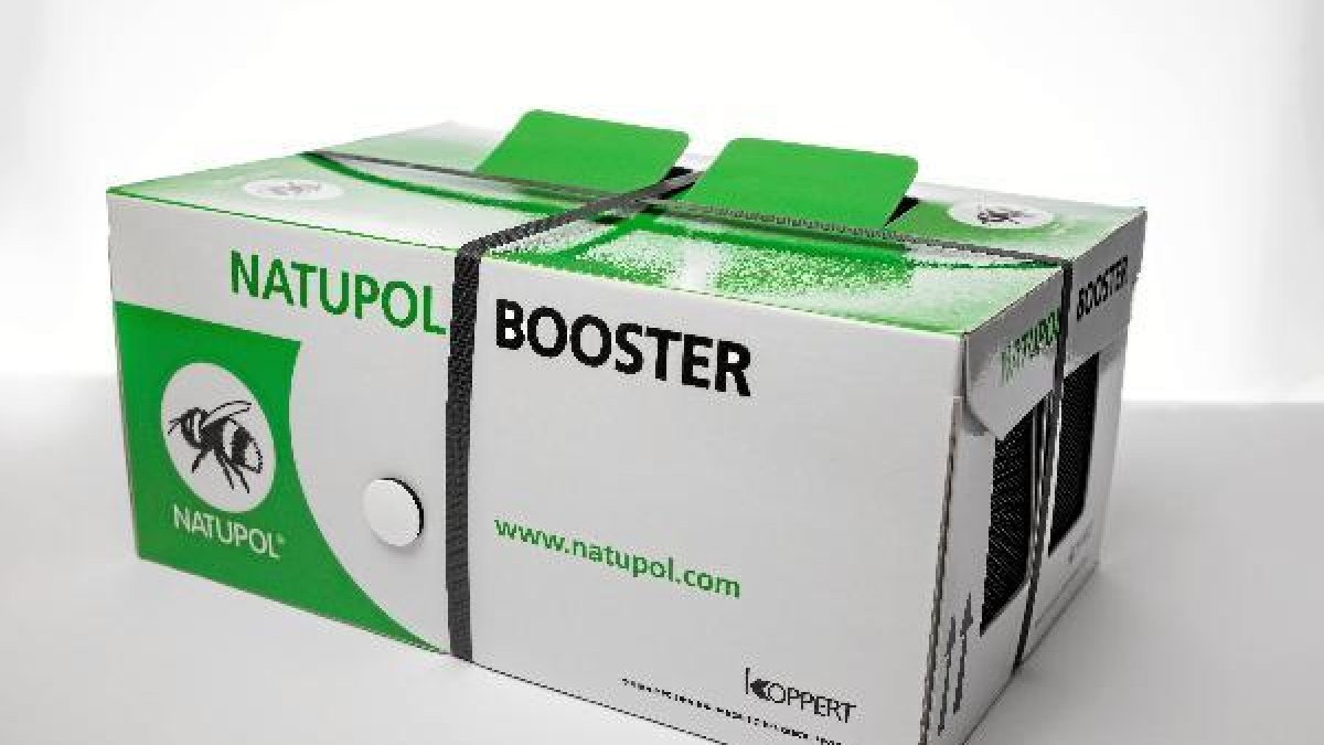 Colmenas de Natupol Boostero,469px);}