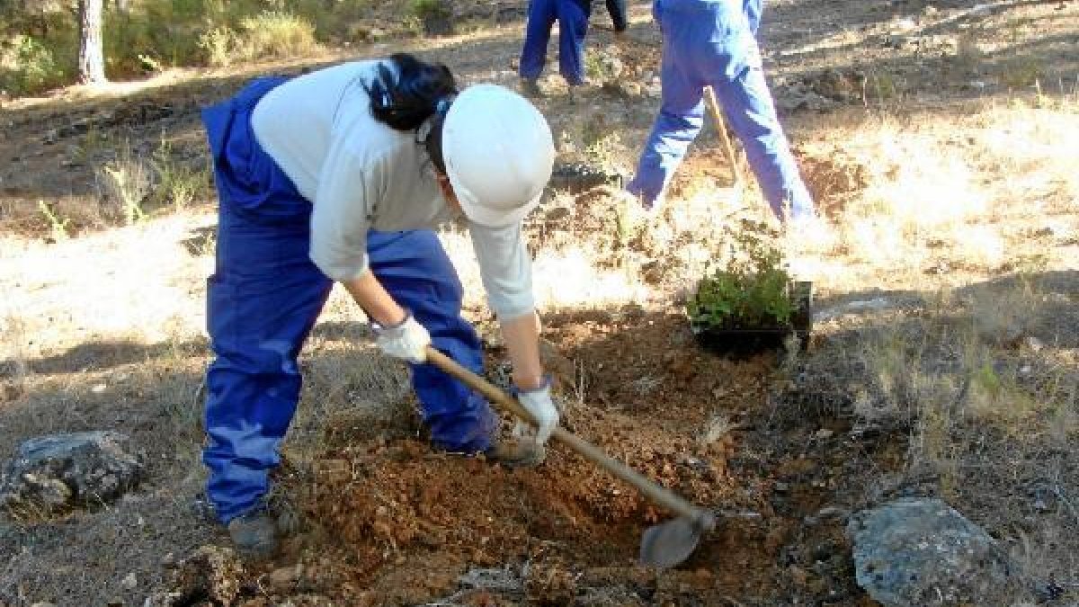 Imagen de una acción del plan en Canjáyarx,auto