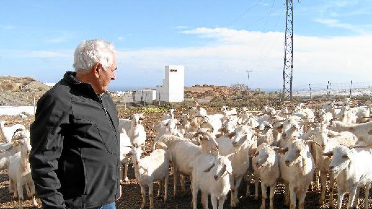 El pastor José Alfonso Salmeróno,469p