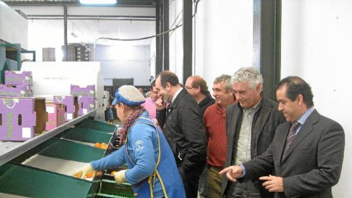 Pérez Parra durante su visita a la cooperativa Albentillase;cli