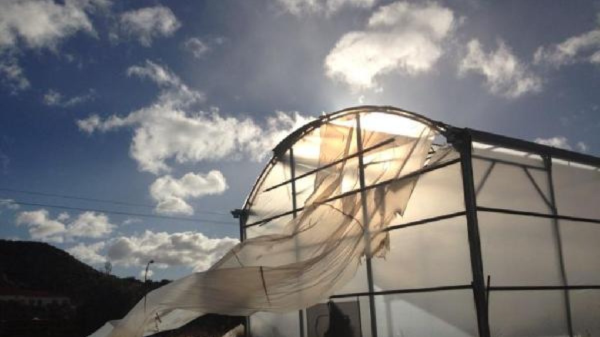 Invernadero en Olula del Río, dañado por las fuertes rachas de viento de ayer.tyle>.apqj{p