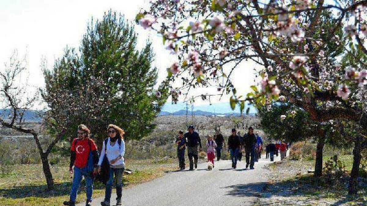 En la provincia de Almería hay varias zonas en las que existen almendros.tyle>.apqj{positi